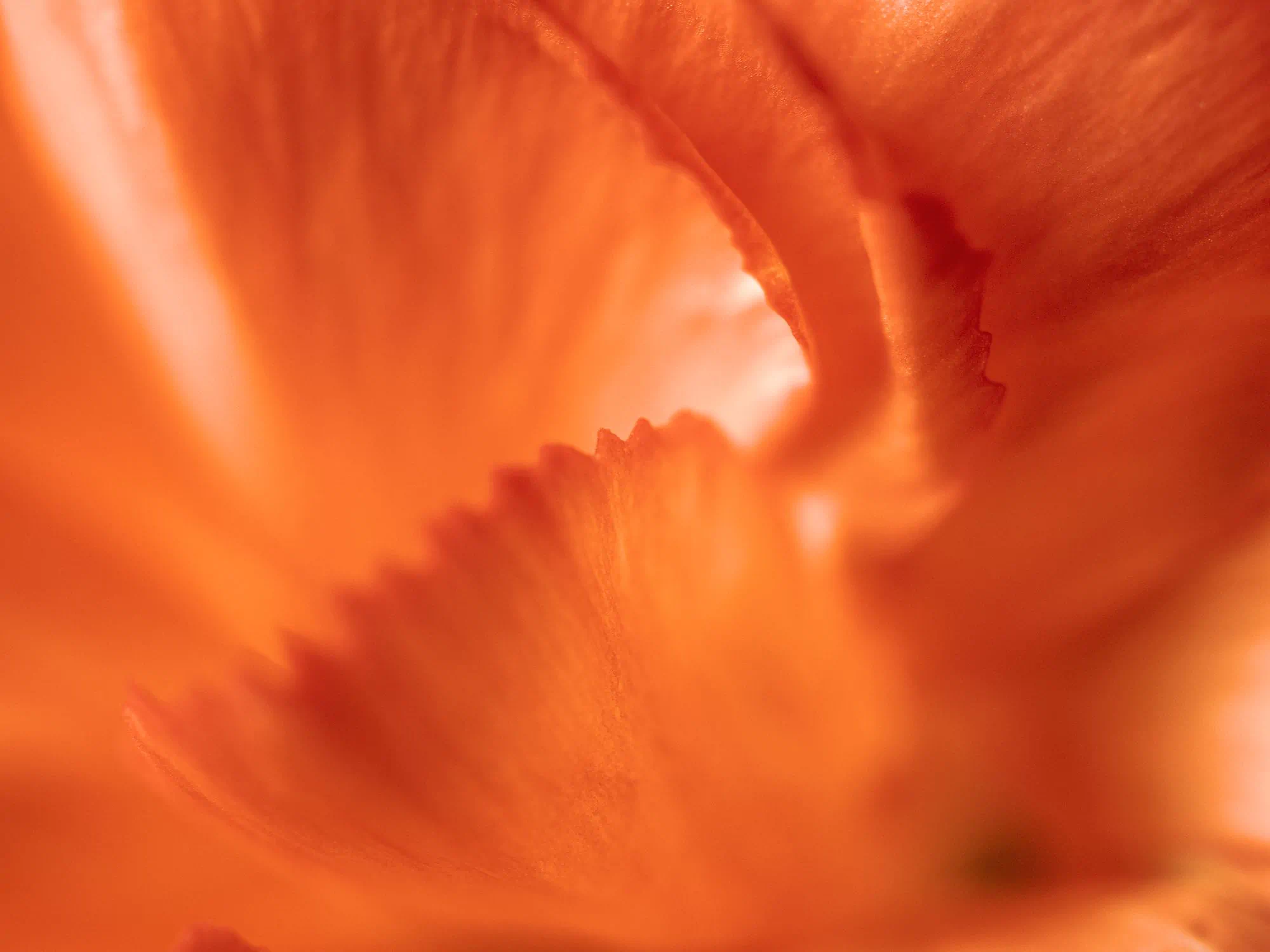 Sowvital Unveils New Candle Collection at Le Bon Marché: A Sensory Journey Through Floral Moments