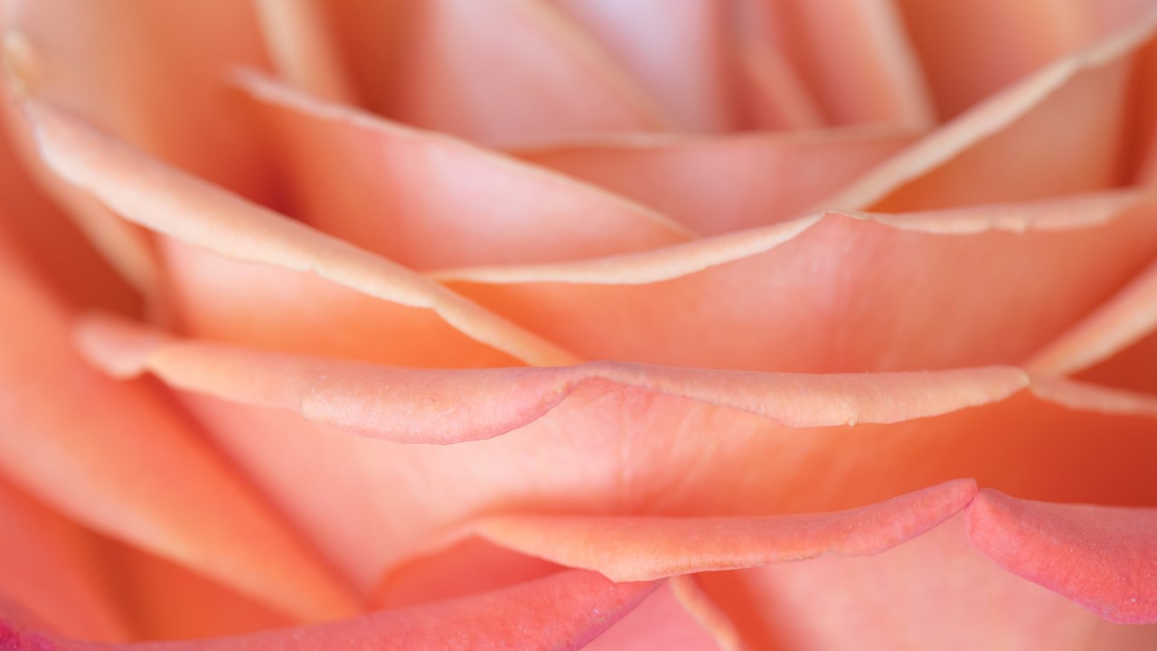 In-Cosmetics 2025: innovaciones y perspectivas